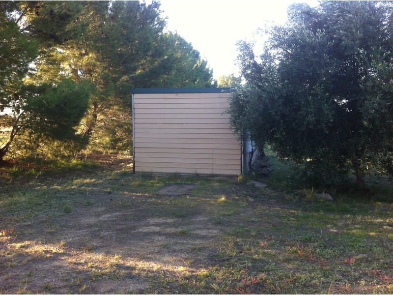 355 Calarie Road, Forbes NSW 2871