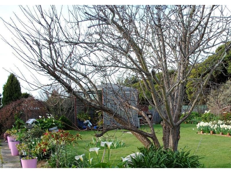 25 Jermyn Street, Ulverstone TAS 7315