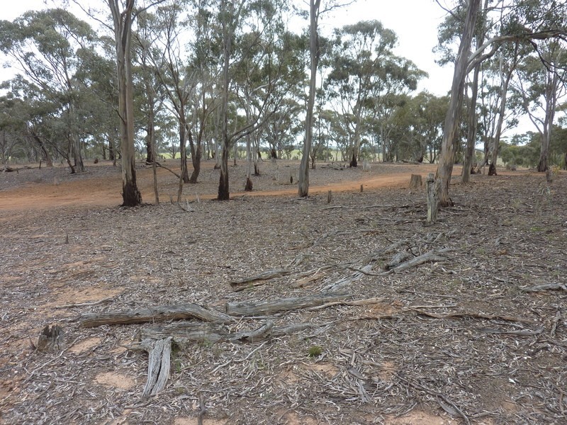 Lot 1 Dip Lane, Wedderburn VIC 3518