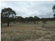 Lot 1 Dip Lane, Wedderburn VIC 3518