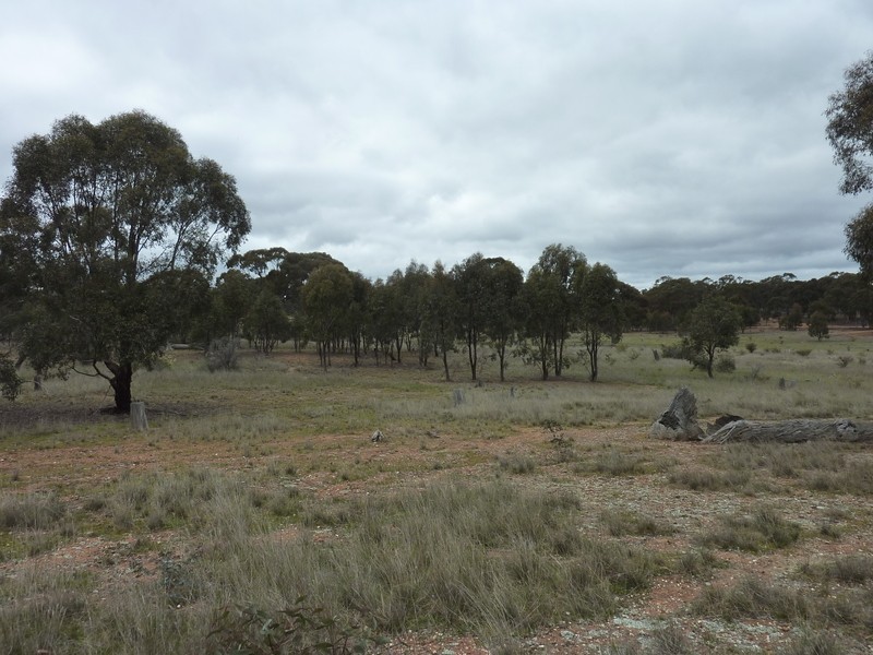 Lot 1 Dip Lane, Wedderburn VIC 3518