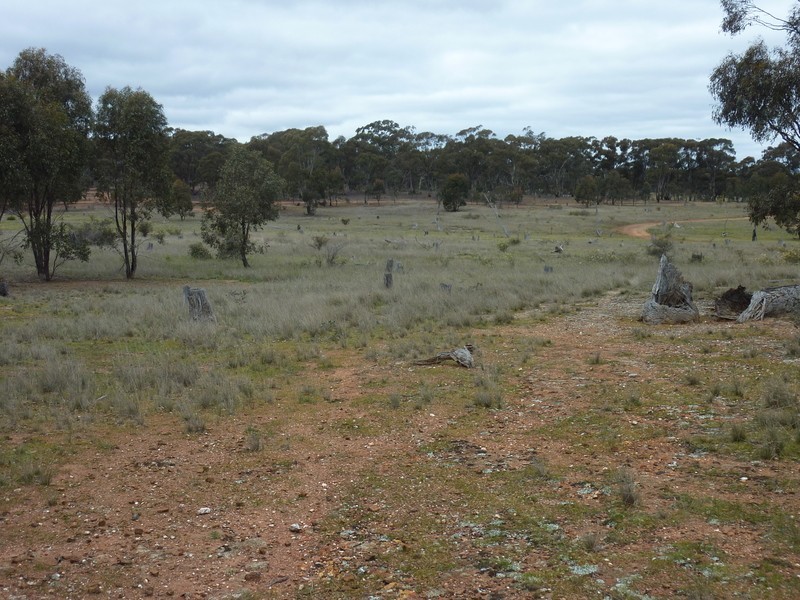 Lot 1 Dip Lane, Wedderburn VIC 3518