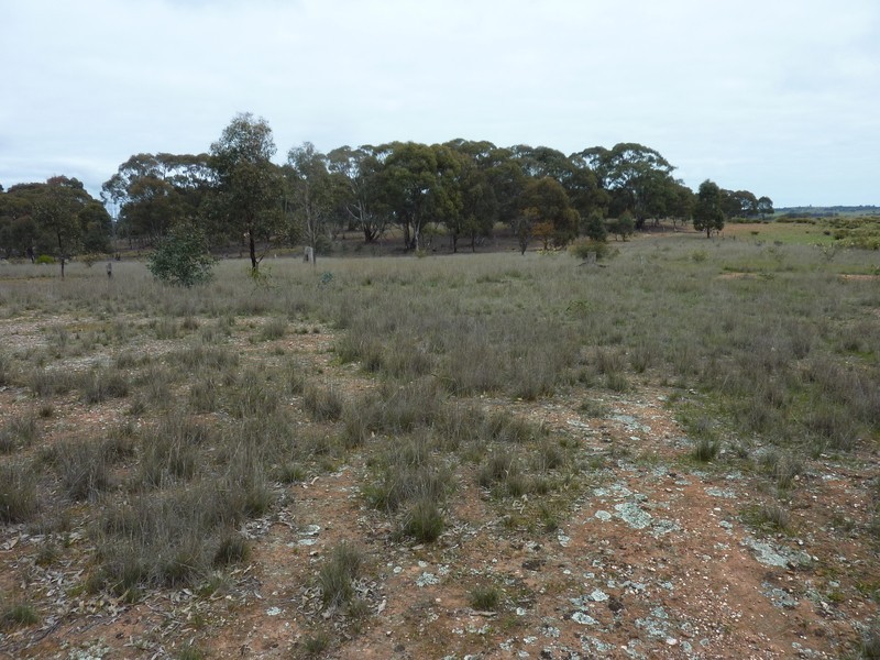 Lot 1 Dip Lane, Wedderburn VIC 3518
