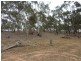 Lot 1 Dip Lane, Wedderburn VIC 3518