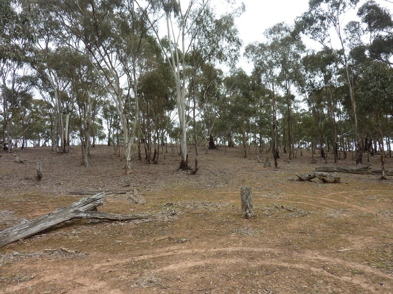Lot 1 Dip Lane, Wedderburn VIC 3518