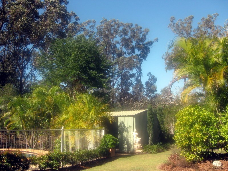 33 Velvet St, Pine Mountain QLD 4306