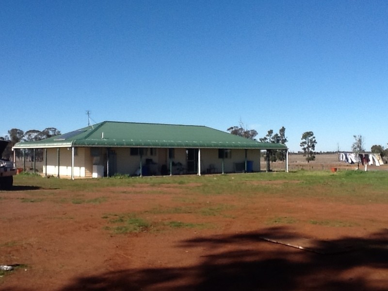 878 Trundle Bruie Plains Road, Bruie Plains NSW 2875