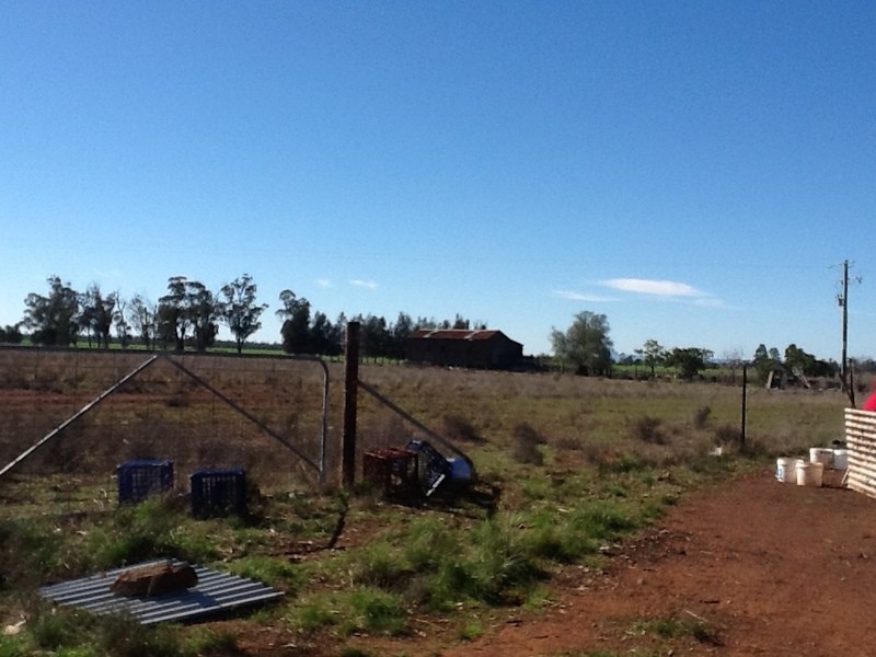 878 Trundle Bruie Plains Road, Bruie Plains NSW 2875