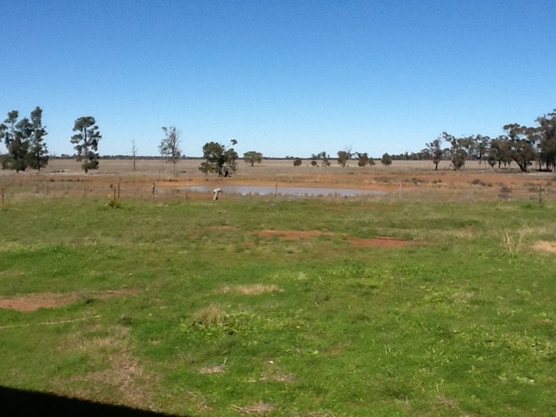 878 Trundle Bruie Plains Road, Bruie Plains NSW 2875