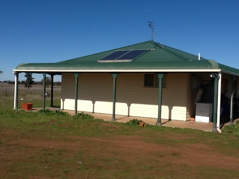 878 Trundle Bruie Plains Road, Bruie Plains NSW 2875