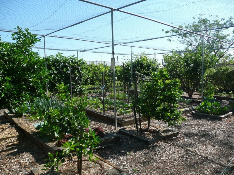 1 Clewett Street, Tambo QLD 4478