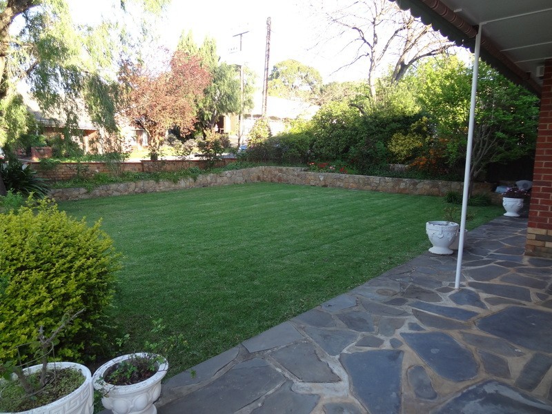 11 Buchan Ave, Beaumont SA 5066