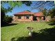 11 Buchan Ave, Beaumont SA 5066