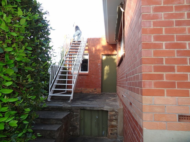 11 Buchan Ave, Beaumont SA 5066