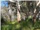 855  Hinkler Road, Wooroloo WA 6558