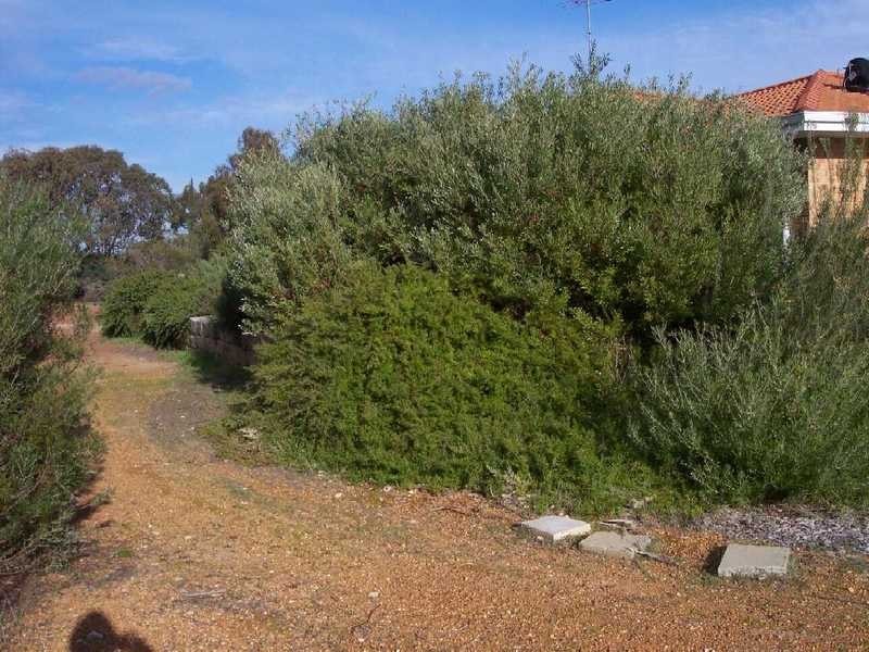 208 Woodland Parade, Stake Hill WA 6210