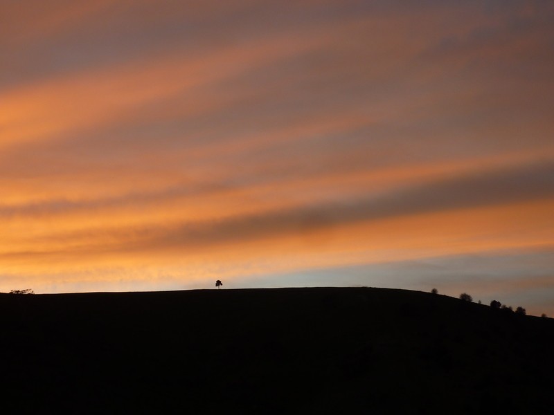 25 Lisburne Avenue, Mitcham SA 5062