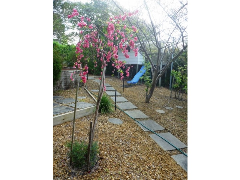 5 Bourke St, Albany WA 6330