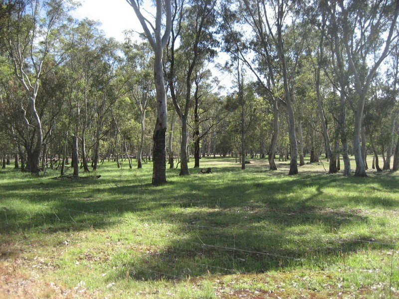 24A Glenelg River Road, Mooralla VIC 3314