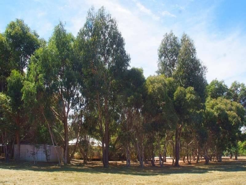 51 Exmoor Dr, Margaret River WA 6285