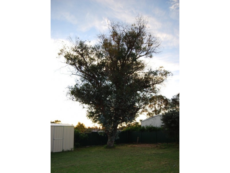 13 Barron Way, Orelia WA 6167