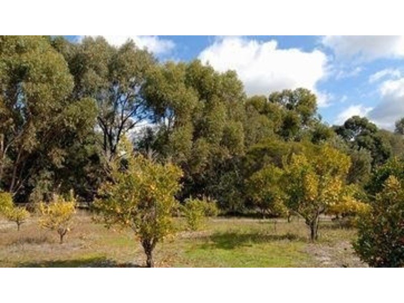 3 Louise Place, Gnangara WA 6077