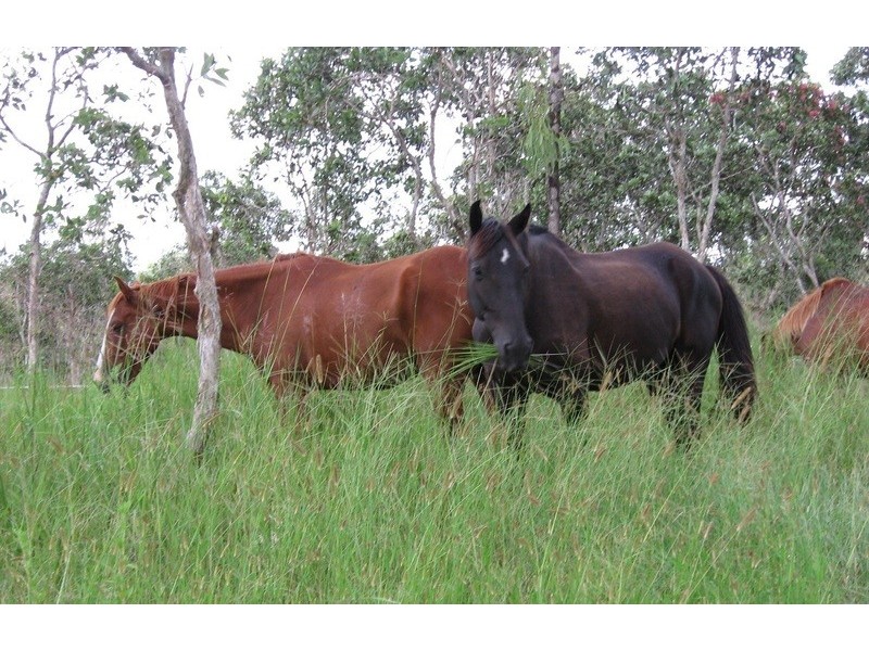 127 Bakers Road, Mount Molloy QLD 4871