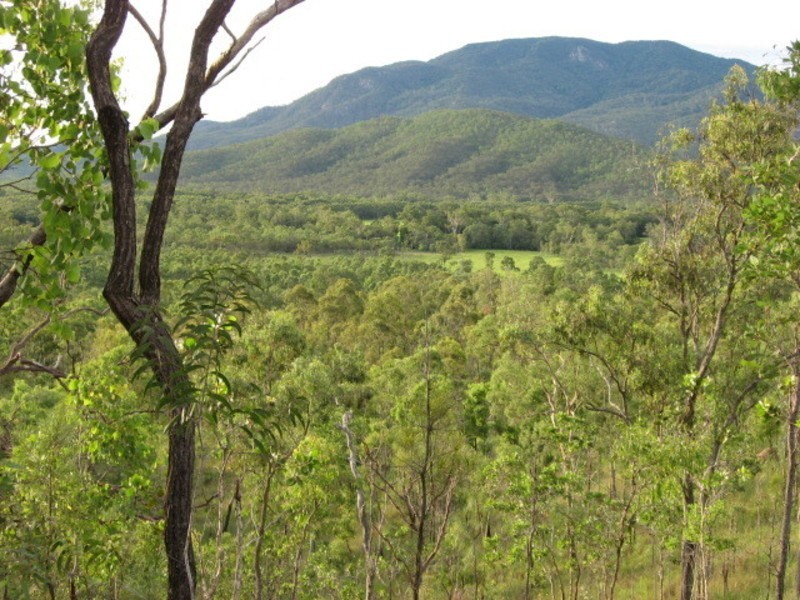 127 Bakers Road, Mount Molloy QLD 4871