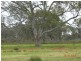 Lot 4B McCutcheons Road, Cavendish VIC 3314
