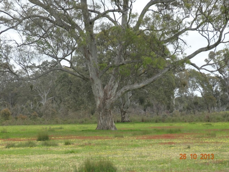 Lot 4B McCutcheons Road, Cavendish VIC 3314