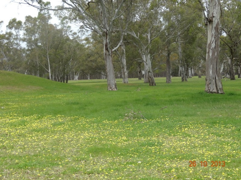 Lot 4B McCutcheons Road, Cavendish VIC 3314