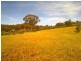 ‘Eskett’ Little Billabong Rd via Holbrook, Holbrook NSW 2644