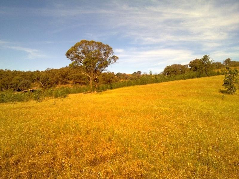 ‘Eskett’ Little Billabong Rd via Holbrook, Holbrook NSW 2644
