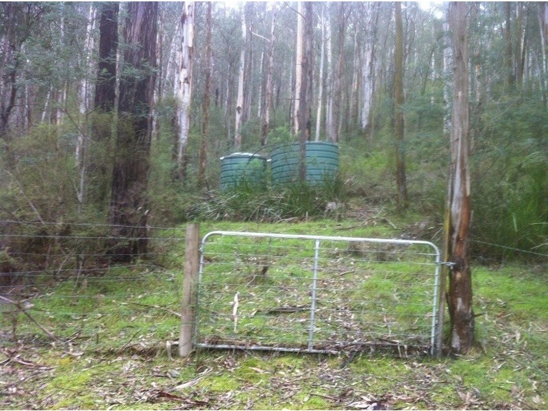 670 Lock Valley Road, Noojee VIC 3833