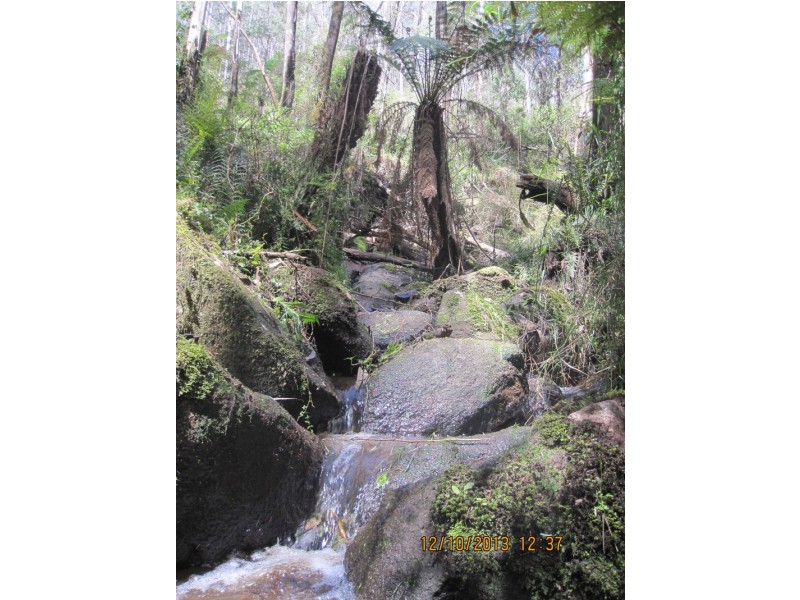 670 Lock Valley Road, Noojee VIC 3833