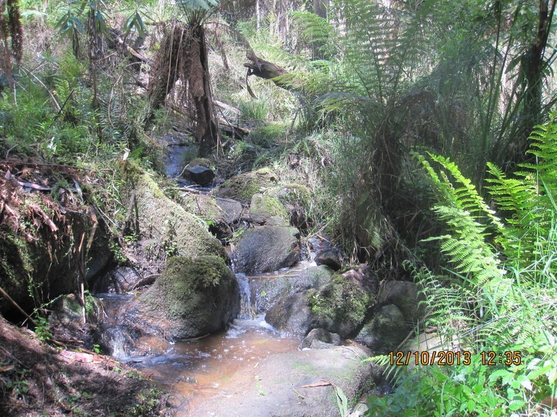 670 Lock Valley Road, Noojee VIC 3833