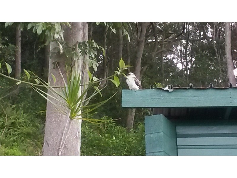 188 Steyne Road, Saratoga NSW 2251