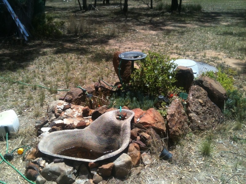 1712 Gamble Creek Road, Binnaway NSW 2395