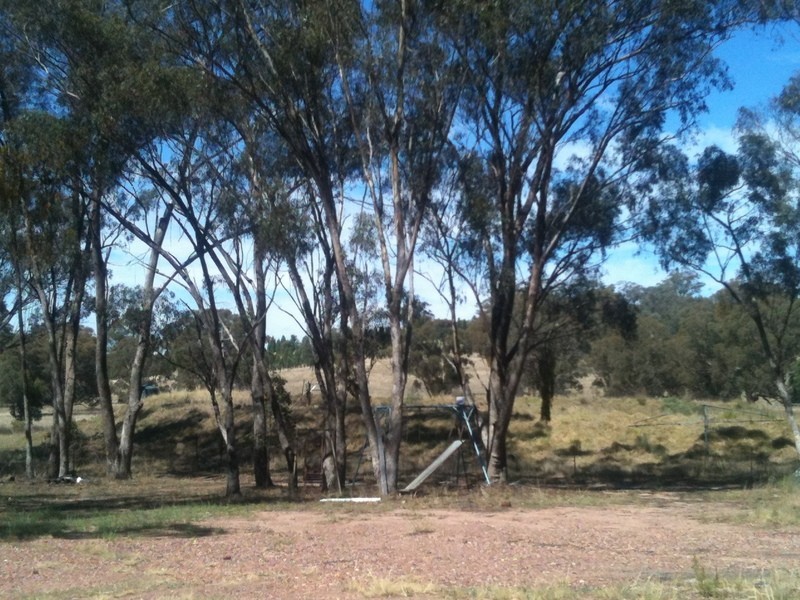 1712 Gamble Creek Road, Binnaway NSW 2395