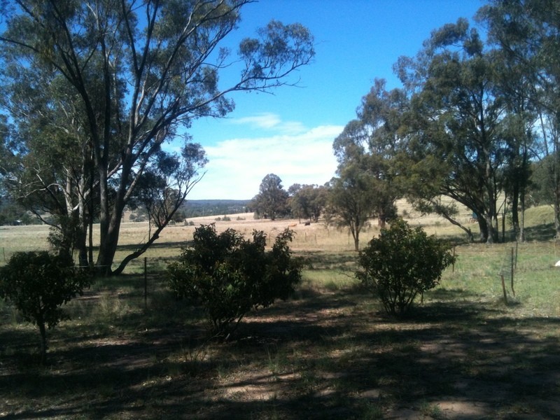 1712 Gamble Creek Road, Binnaway NSW 2395