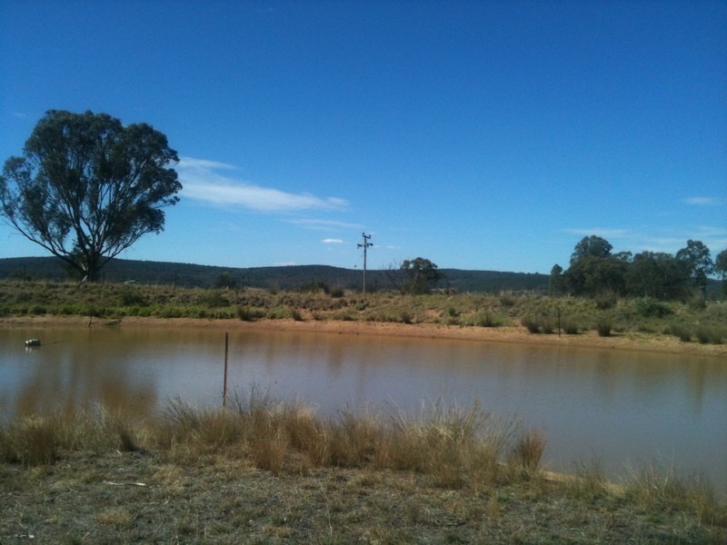 1712 Gamble Creek Road, Binnaway NSW 2395