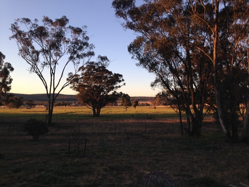 1712 Gamble Creek Road, Binnaway NSW 2395