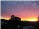 102 Hoff Street, Mount Gravatt East QLD 4122