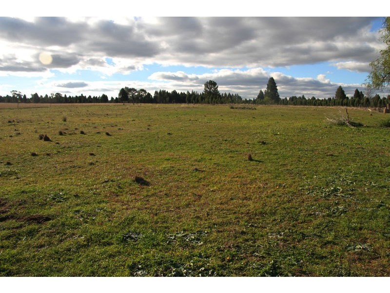 38L Eulomogo Road, Dubbo NSW 2830