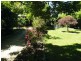 lot/730 Woomargama Way, Woomargama NSW 2644