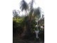 Ayr QLD 4807