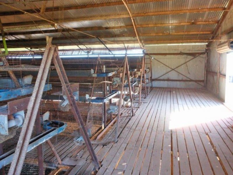 30 Tipperary Lane, Young NSW 2594