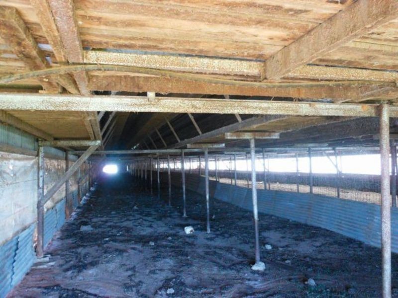 30 Tipperary Lane, Young NSW 2594