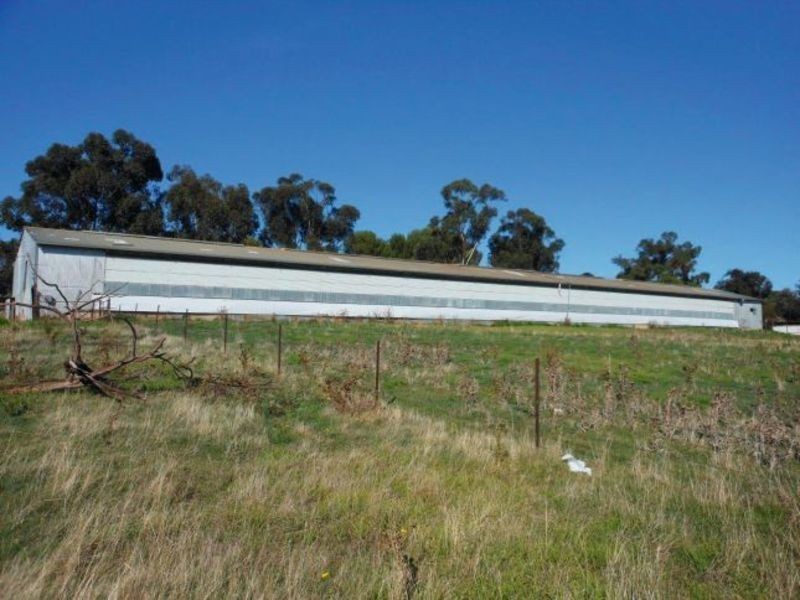 30 Tipperary Lane, Young NSW 2594