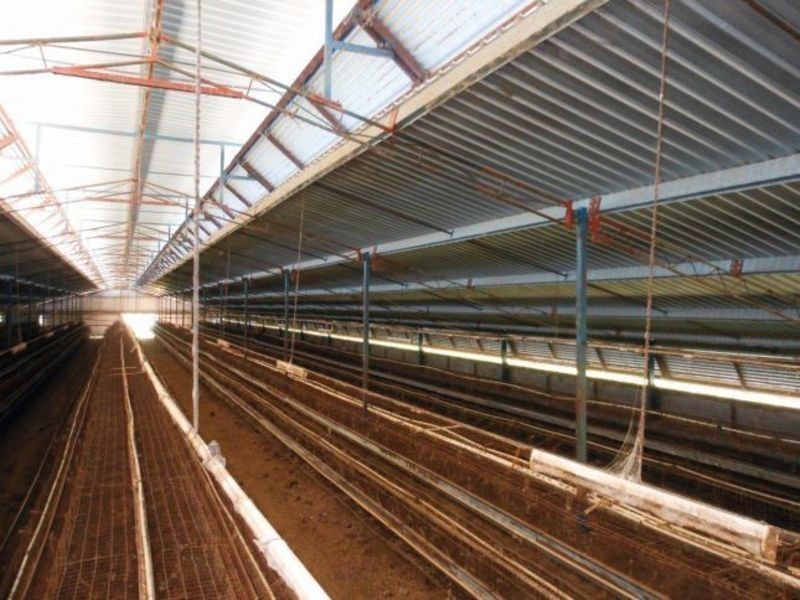 30 Tipperary Lane, Young NSW 2594